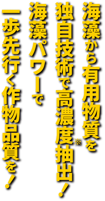 海藻から有用物質を独自技術で高濃度※ 抽出! 海藻パワーで一歩先行く作物品質を!