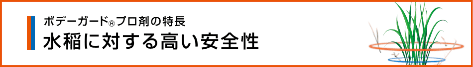 水稲に対する高い安全性