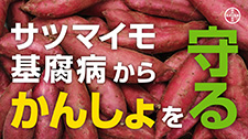 フリント<sup>®</sup>フロアブル25