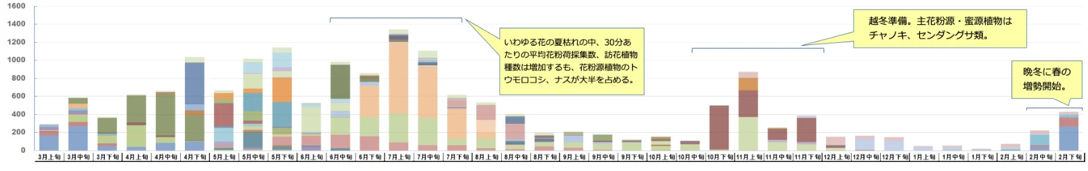 セイヨウミツバチ