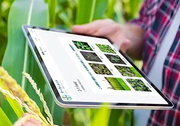 デジタル農業