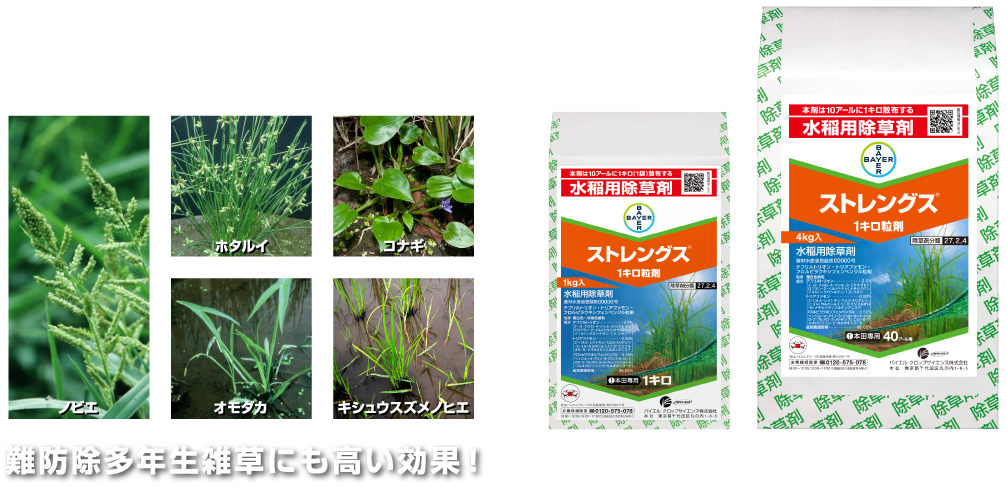 難防除多年雑草にも高い効果！