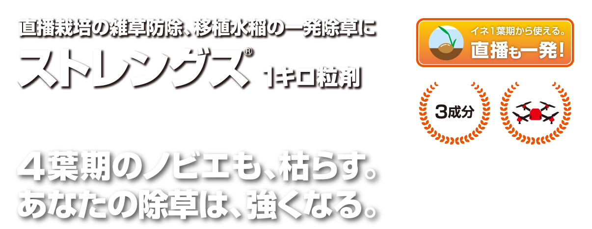 直播栽培の雑草防除、移植水稲の一発除草にストレングス1キロ粒剤