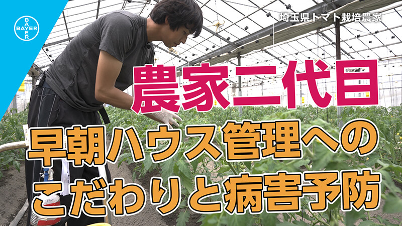 埼玉県 トマト栽培農家