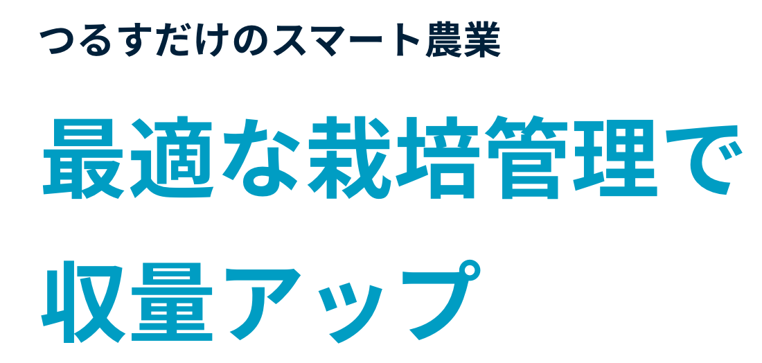 つるすだけのスマート農業 最適な栽培管理で収量アップ