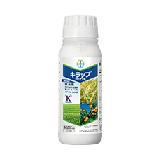 キラップフロアブル