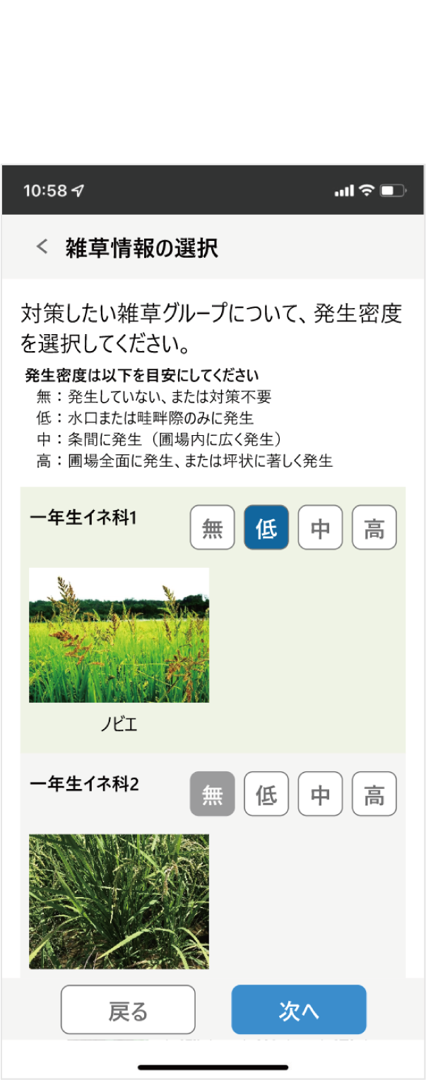 ②発生する雑草の草種・密度