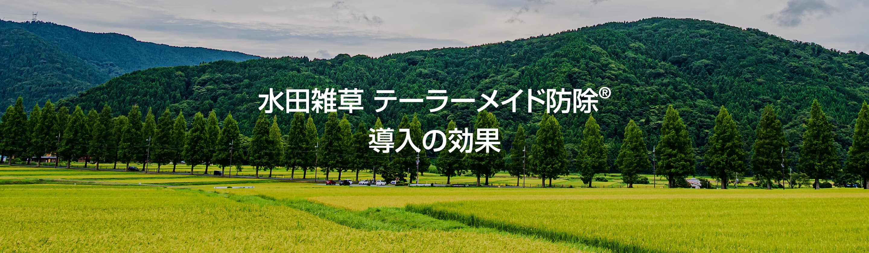 「my防除®︎」アプリと防除処方