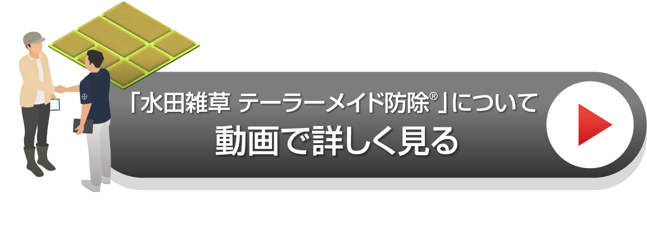 動画で詳しく見る