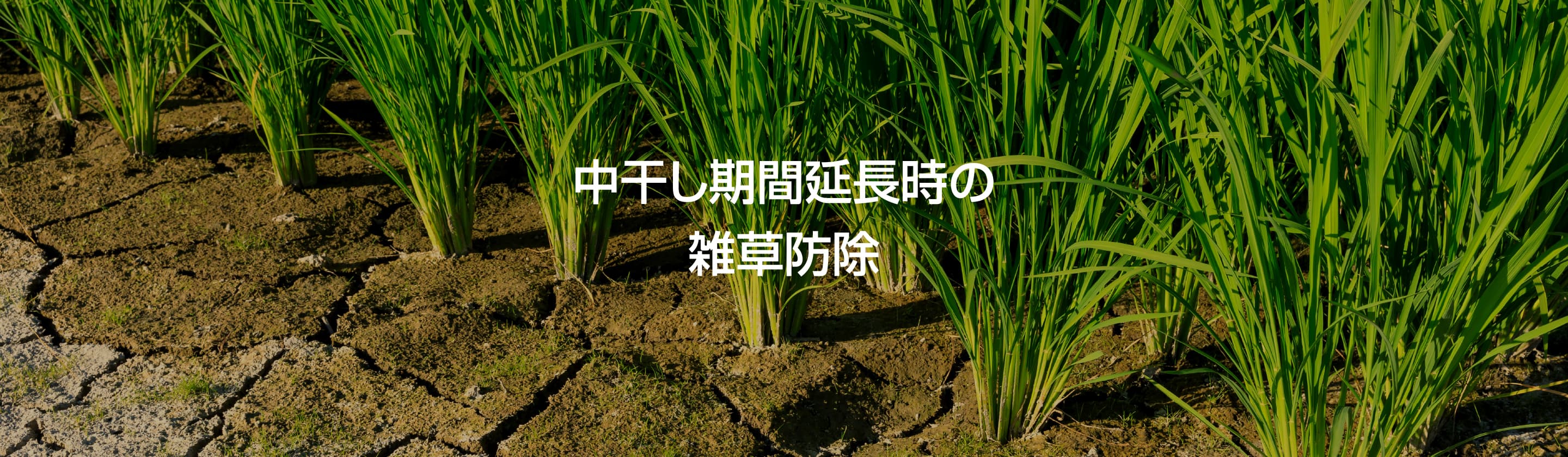 「my防除®︎」アプリと防除処方